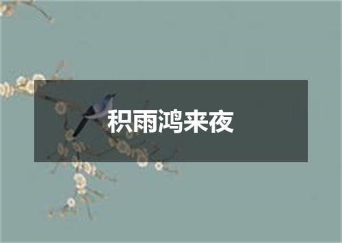 积雨鸿来夜