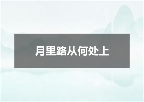 月里路从何处上