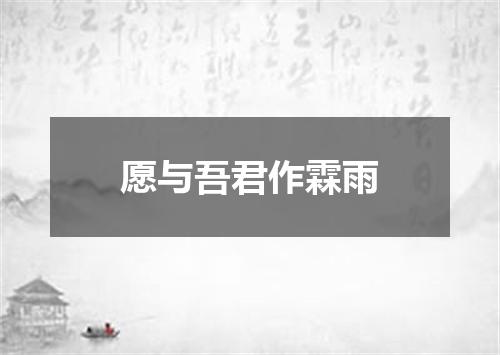 愿与吾君作霖雨