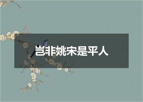 岂非姚宋是平人