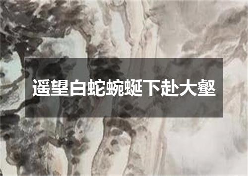 遥望白蛇蜿蜒下赴大壑