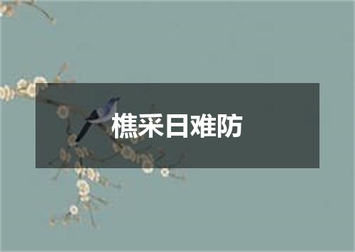 樵采日难防