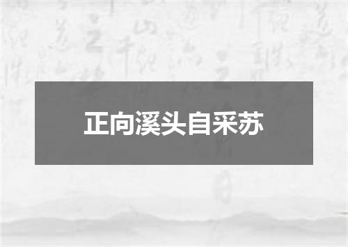 正向溪头自采苏