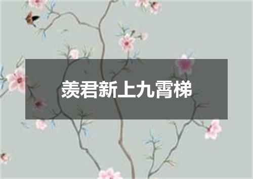 羡君新上九霄梯