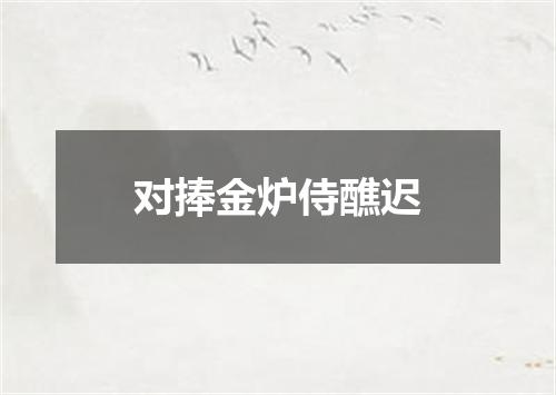 对捧金炉侍醮迟