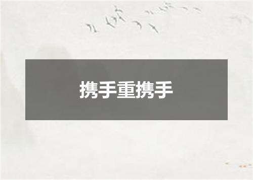 携手重携手
