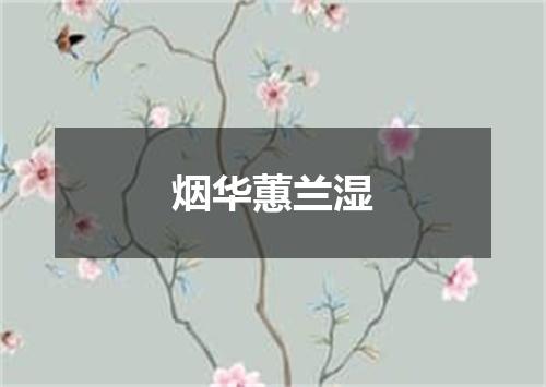 烟华蕙兰湿