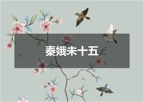 秦娥未十五