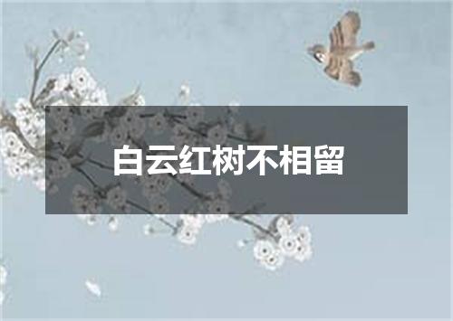 白云红树不相留