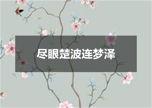 尽眼楚波连梦泽