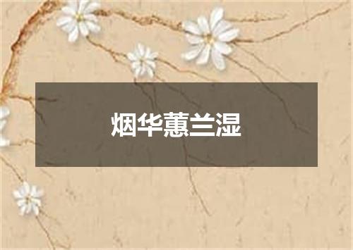 烟华蕙兰湿