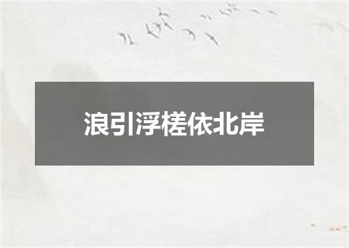浪引浮槎依北岸