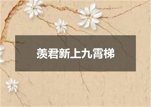 羡君新上九霄梯