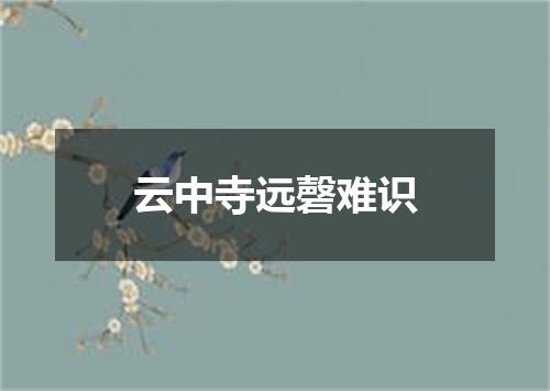 云中寺远磬难识