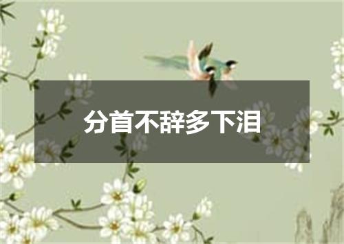 分首不辞多下泪