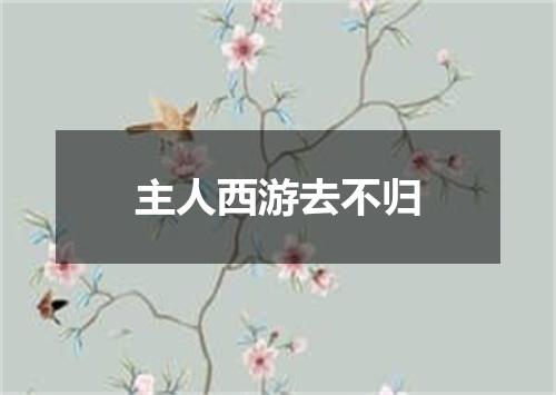 主人西游去不归
