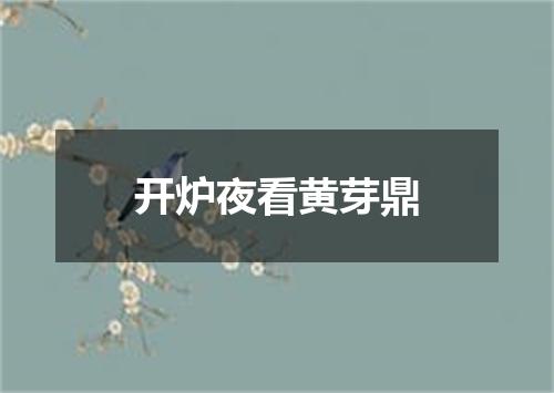 开炉夜看黄芽鼎