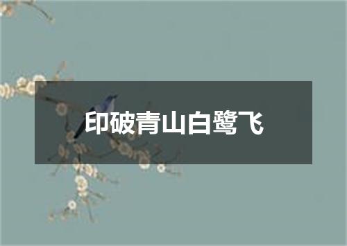 印破青山白鹭飞