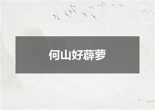 何山好薜萝