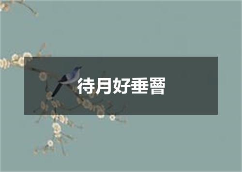 待月好垂罾