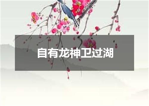 自有龙神卫过湖