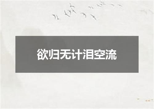 欲归无计泪空流