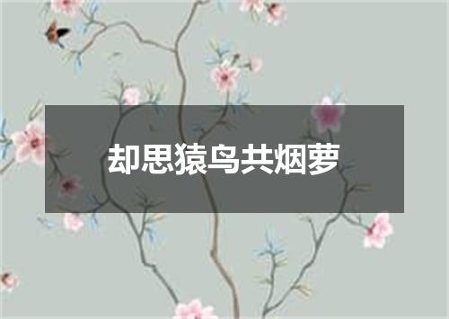 却思猿鸟共烟萝