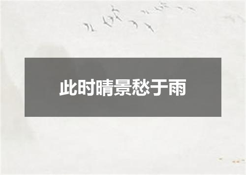 此时晴景愁于雨