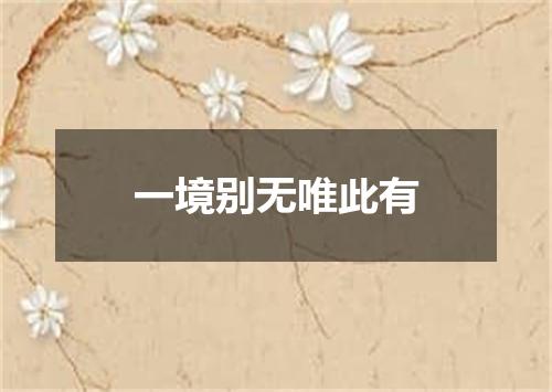 一境别无唯此有