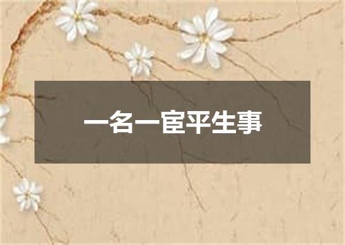 一名一宦平生事