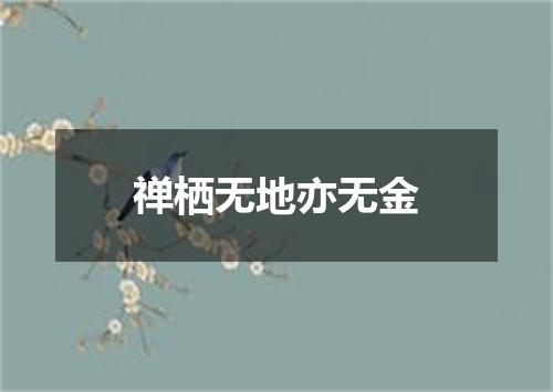 禅栖无地亦无金