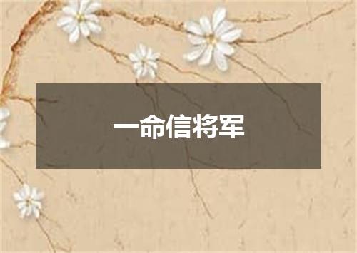 一命信将军