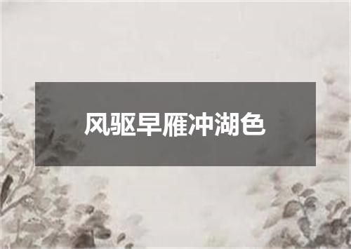 风驱早雁冲湖色