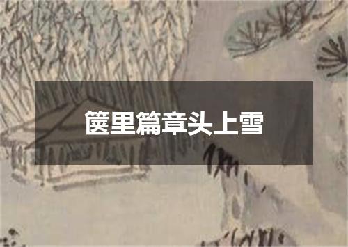 箧里篇章头上雪