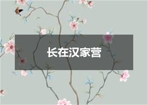 长在汉家营
