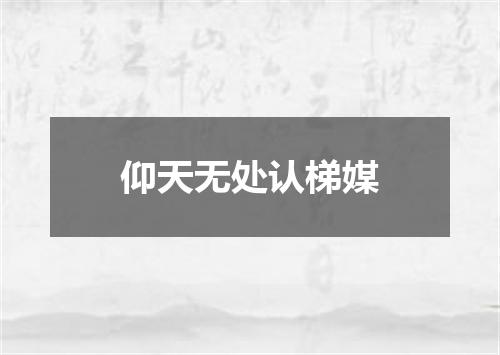 仰天无处认梯媒