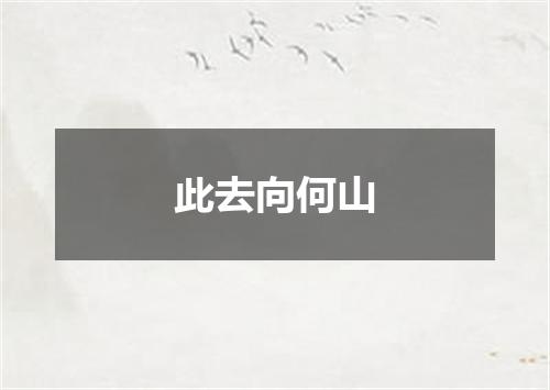 此去向何山