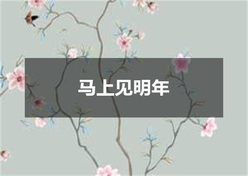 马上见明年