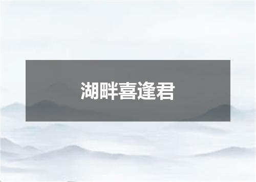 湖畔喜逢君