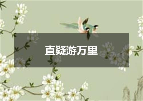 直疑游万里
