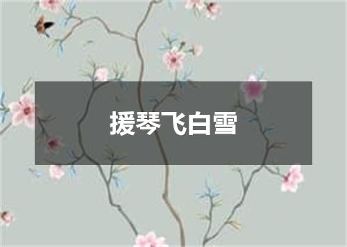 援琴飞白雪