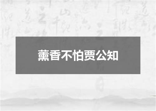 薰香不怕贾公知