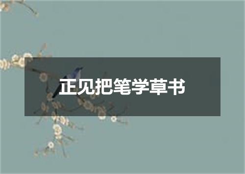正见把笔学草书