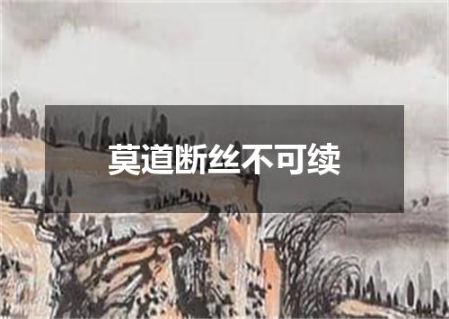 莫道断丝不可续