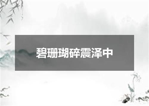 碧珊瑚碎震泽中