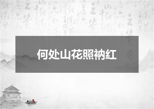 何处山花照衲红