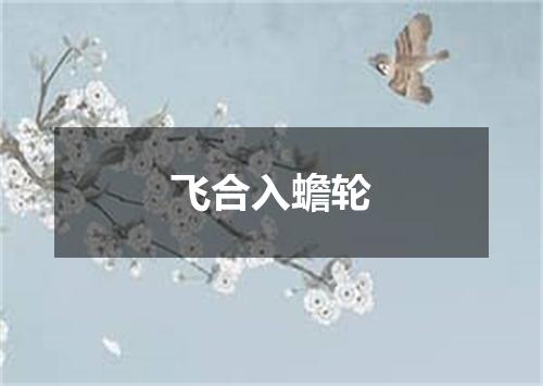 飞合入蟾轮