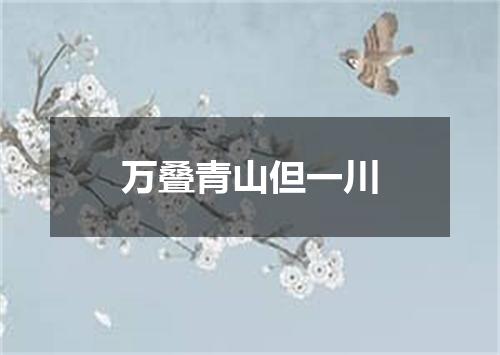 万叠青山但一川