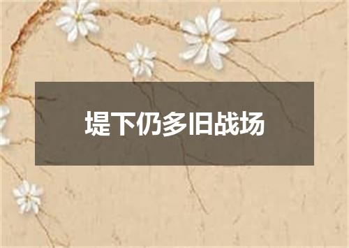 堤下仍多旧战场
