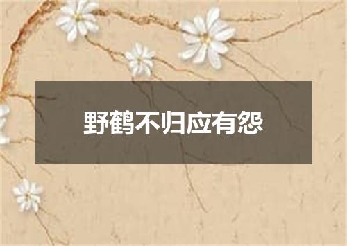 野鹤不归应有怨